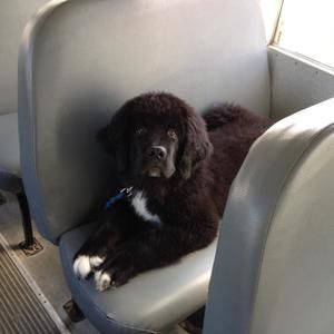 Meet your Posher, Kim